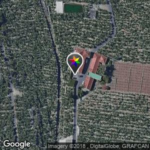 Finca de plataneras