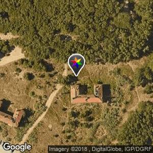 Bosque-Carcavelos-Lisboa