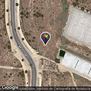 Parque Arboles zona pabellón-El Ejido-Almería