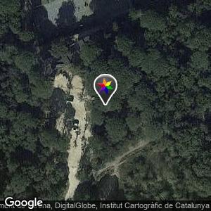 Bosque del GEEG