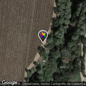 Campo Tomovi