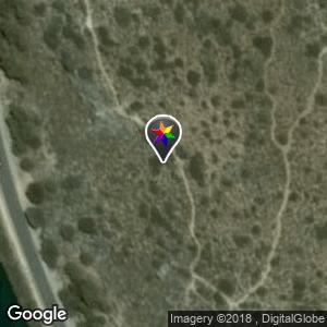 Debajo del algarrobo-Parque Natural Las Lagunas de Ruidera