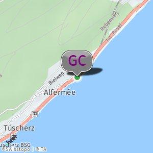 Alfermée