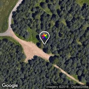 Pinares de Cortes