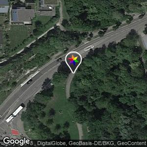Gebüsch am weg