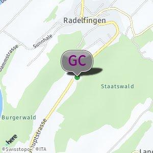 Waldrand Radelfingen