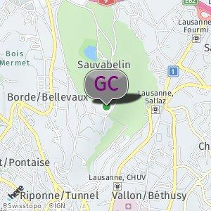 Bois de Sauvablin (vers le parking du Signal)