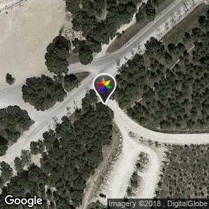 Pinares de venecia