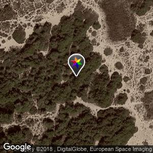 Playa del Lago - Zona dunas y Bosque