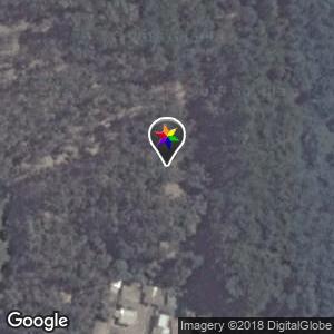 Bosque municipal