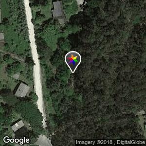 Bosque de Maianca