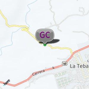 Guadual al lado de la vía