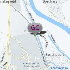 Veel bosjes