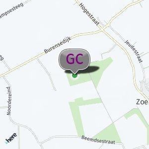 Bos in zoelen