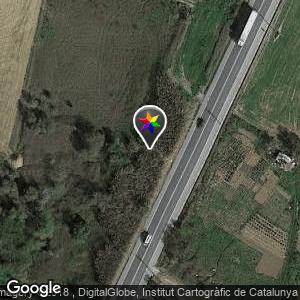 Zona del cañizal