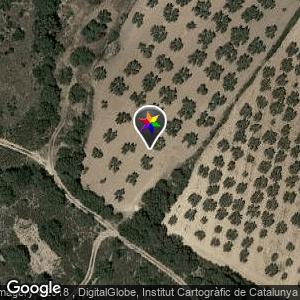 Salida de camiones entre Panorámica Golf y San Jorge