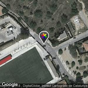 Bosque campo de fútbol