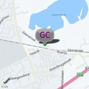 Parking Gavers