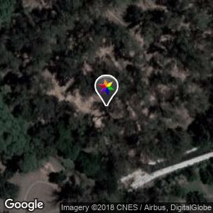 Bosque La Plata