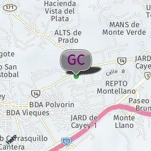 Pista Pública - Frente UPR Cayey