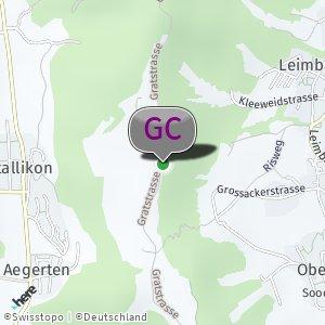Cruising Üetliberg