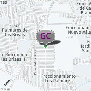 Palmares
