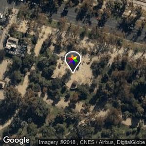Bajo los árboles del Parque Forestal