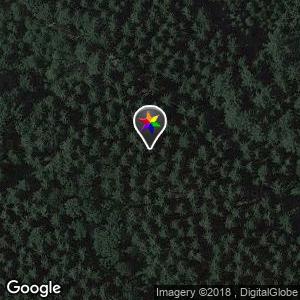 Sholossholz Forest