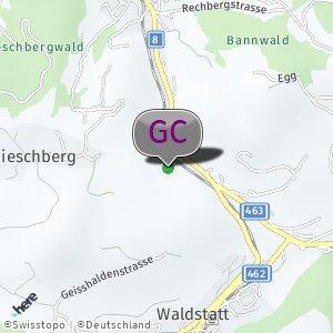 Wald bei Garage Schmucki