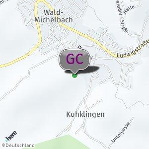 Wald am Gymnasium