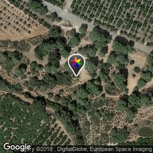 Pinada junto A-7 Almenara