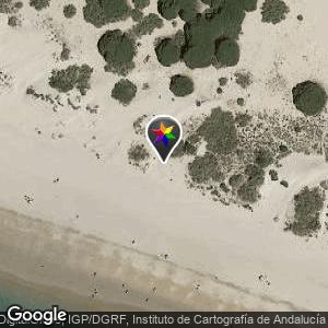Dunas entre la carretera y la playa
