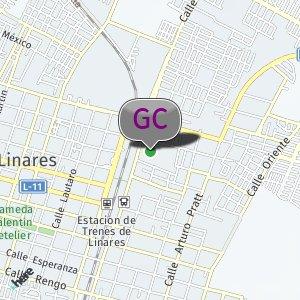 Terminal Linares