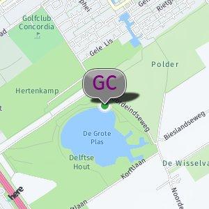 Delfsehout