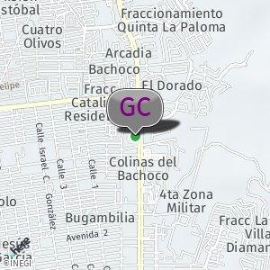 Gym Fitmax