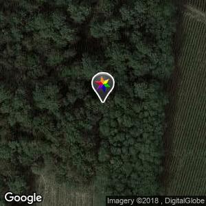 Chemin dans la foret