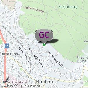 Wald Zürichberg