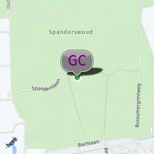 Spaanderswout