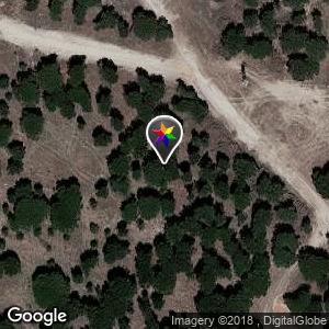 Los Pinares