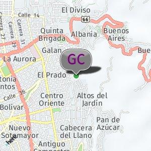 Gradas arriba de Leones