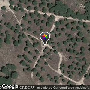 Entorno del Hotel Garden Playanatural