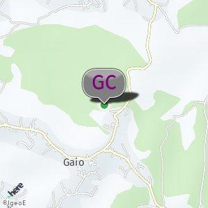 Mata do Gaio
