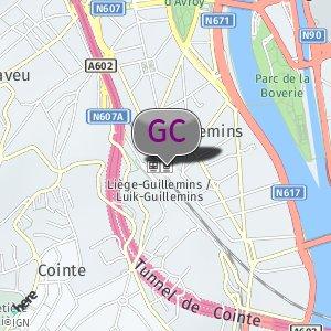 Guillemins