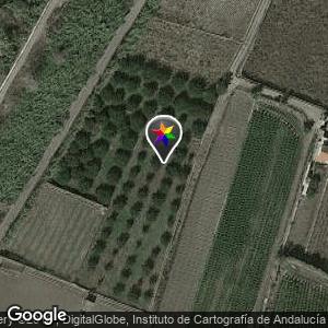 Cañaveral