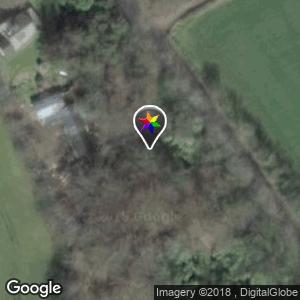 A small wooded area