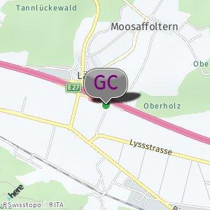 Bei den Bäumen