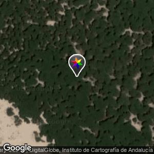 Pinares de Punta Candor