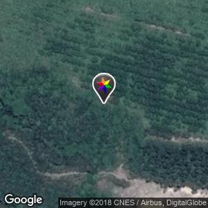 Beautiful wooded area