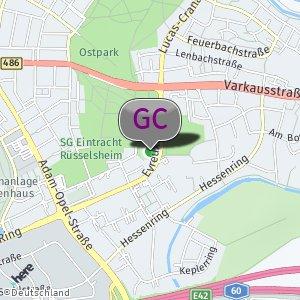 Im Ostpark Wald