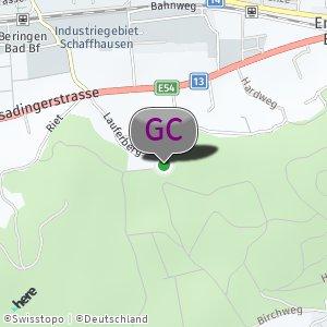 Wald Beringen